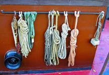 image of knot