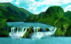 image of tropical_forest