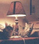 image of lamp