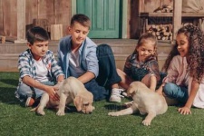 image of people_play_with_dog