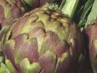 image of artichoke