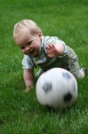 image of soccer_ball