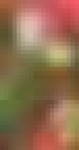 image of char