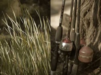 image of reel