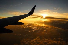 image of wing