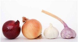 image of onion #6