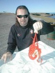 image of crayfish