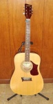 image of acoustic_guitar