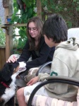 image of bernese_mountain_dog