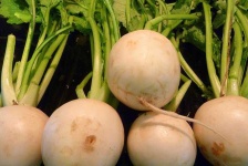 image of fruit_and_vegetable