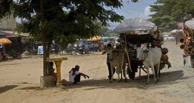 image of oxcart