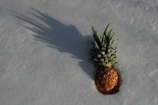 image of pineapple