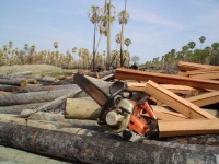 image of lumbermill