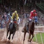 image of sport