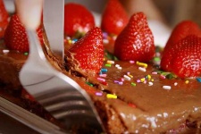 image of spatula
