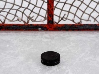 image of hockey_puck