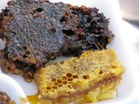 image of honeycomb #29