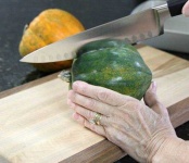 image of acorn_squash #11