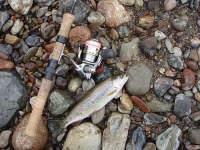 image of reel