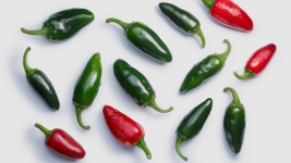 image of fruit_and_vegetable
