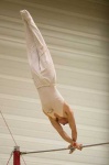 image of parallel_bars