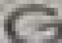image of char