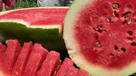 image of watermelon