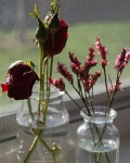 image of vase