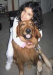image of golden_retriever
