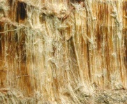 image of texture