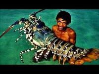 image of lobster
