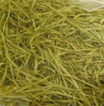 image of texture