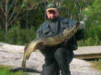 image of barracouta