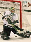 image of puck