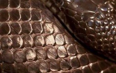 image of texture