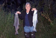image of coho