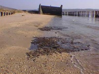 image of sandbar