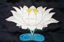 image of lotus #21