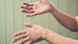 image of human_body_parts