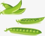 image of string_bean