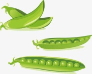 image of string_bean #19