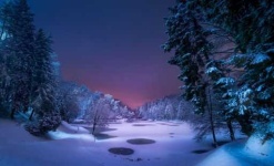 image of snowy
