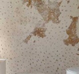 image of texture