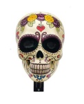 image of skull
