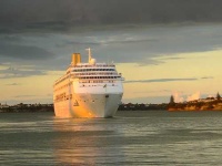 image of liner