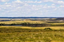 image of grassland