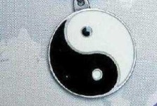 image of yin_yang #11