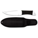 image of scabbard