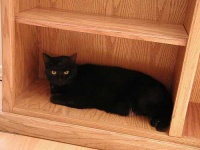 image of bookcase