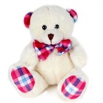 image of teddy_bear